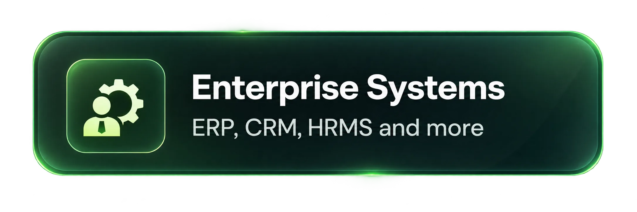 Enterprise Systems